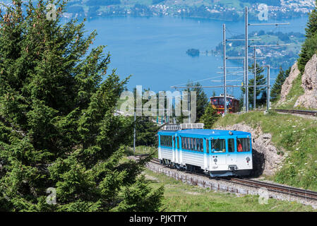 Cog Railway Vitznau-Rigi-Bahn, vicino a Lucerna, il Lago di Lucerna, il cantone di Lucerna, Svizzera Foto Stock