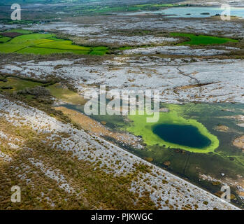 Piccoli laghi nel Burren rocce, Turloughs nel Burren, le alghe verdi Burren, riserva naturale, scogliere calcaree, chalk formazione di roccia, Mullaghmore, Burren, County Clare, Irlanda, Europa Foto Stock