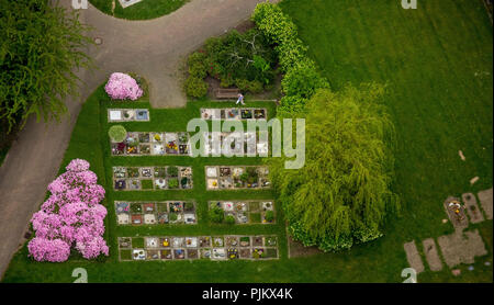 Urna tombe nel cimitero sulla Berchemallee, centrale cimitero comunale, Gevelsberg, la zona della Ruhr, Nord Reno-Westfalia, Germania Foto Stock