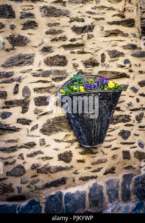 Vaso di fiori sul muro di pietra, vecchio enologo Kiepe in primavera con fiori in Evol, Foto Stock