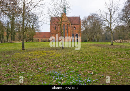 La Germania, il Land Brandeburgo, Uckermark, Chorin, monastero cistercense di Chorin, mattone basilica da 1273, il cimitero di fioritura e ostriche blu Foto Stock