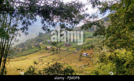 Campi di riso di Sapa in Vietnam Foto Stock