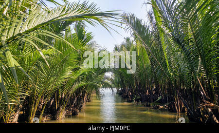 Alberi di palma in acqua, Vietnam Foto Stock