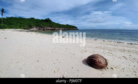 Il Cocco sulla spiaggia di Isola di Malapascua, Filippine Foto Stock