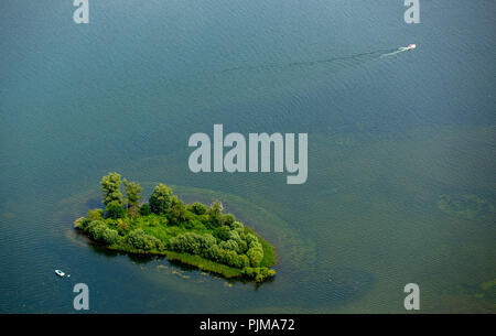 In Kohlinsel Plauer See, Plau am See, Meclemburgo Lake District, Mecklenburg Svizzera, Meclenburgo-Pomerania Occidentale, Germania Foto Stock