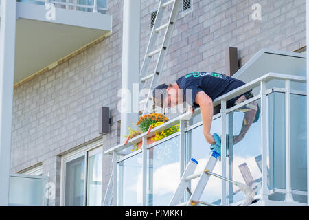 Lavoratore di sesso maschile meticolosamente pulisce il vetro su un balcone in un complesso di appartamenti. Foto Stock