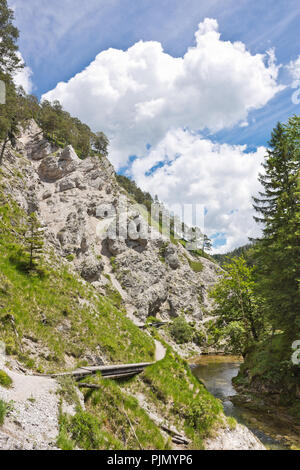 Passerella di legno sentiero escursionistico lungo un chiaro ruscello di montagna attraverso la spettacolare gola rocciosa di Ötschergräben in Austria. Foto Stock