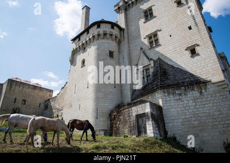 Château de Montsoreau Foto Stock