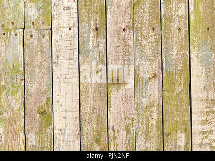 Vecchio sfondo di legno di schede verticali con peeling di colore verde Foto Stock