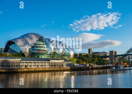 Newcastle, Inghilterra - Luglio 29, 2018: Sage Gateshead concert hall il Newcastle Gateshead Quayside su un bel pomeriggio di estate. Foto Stock