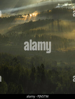 Natura immagine orizzontale di Ooty Foto Stock