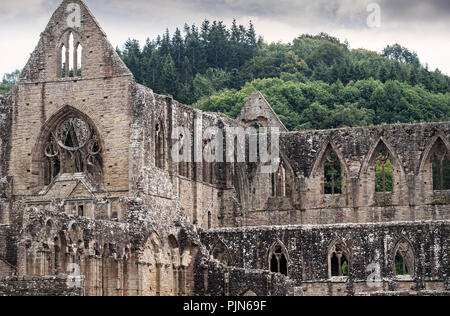 La vita monastica rovine di Tintern Abbey in Monmouthshire, Galles Foto Stock