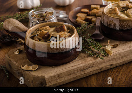 Rustico zuppa di funghi, ceco foresta di funghi freschi raccogliere nei boschi Foto Stock