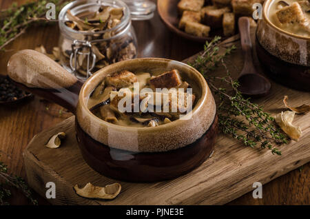 Rustico zuppa di funghi, ceco foresta di funghi freschi raccogliere nei boschi Foto Stock