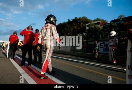 Clouseau singer Koen Wauters racing al BTCS Belgian Touring Car Series gara a Zolder (Belgio, 25/10/2009) Foto Stock