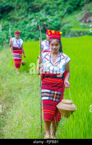 Donne della minoranza Ifugao vicino ad una risaia a Banaue nelle Filippine Foto Stock