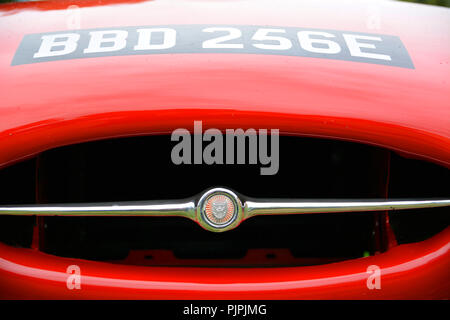 Chiudere l immagine di un classico della Jaguar E tipo auto Foto Stock