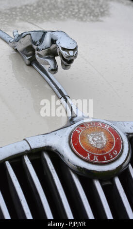 Vicino la fotografia di un classico Jaguar XK150 auto Foto Stock