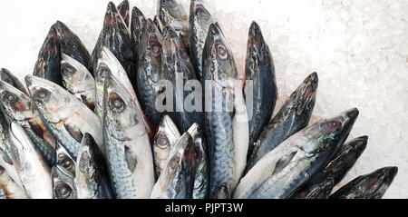 Sgombro su ghiaccio al supermercato. Morto congelato crudo pesce Giapponese chiamato Saba per la cottura. Fresco di acqua salata di mare disimballaggio scomber pesce con una nutrizione Foto Stock