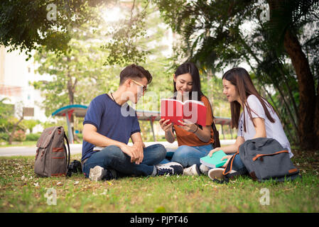 Gruppo di Asian studente di college la lettura di libri e di tutoraggio classe speciale per esame su campo di erba in corrispondenza all'esterno. La felicità e l'istruzione concetto di apprendimento. Foto Stock