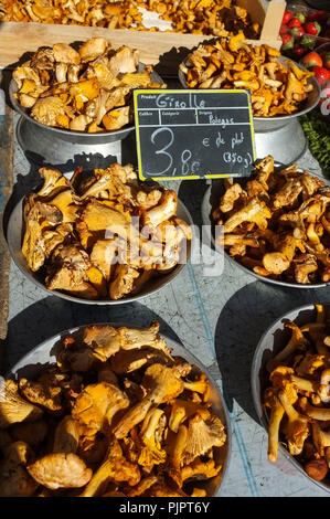 Chanterelle dalla Polonia, per la vendita a un cibo all'aperto sul mercato posto Ambroise Courtois, a Lione, in Francia. Foto Stock