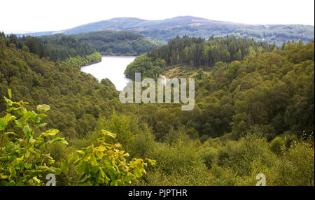 Loch Drunkie, Queen Elizabeth Forest, Loch Lomond e il Trossachs National Park, Scotland, Regno Unito. Foto Stock