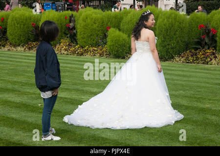 La Cattedrale di St Paul London REGNO UNITO Foto Stock