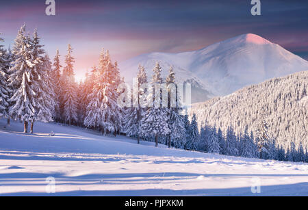 Colorful winter sunrise in the snowy mountains Foto Stock