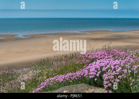 Tranquilla estate vista sulla passeggiata del Lancashire località balneare di Blackpool, Inghilterra, Regno Unito in giugno con poche persone e parsimonia fiori.. Foto Stock