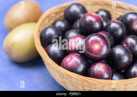 Moscato uve sono anche noti come palude uve con golden kiwi in background. Foto Stock
