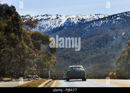 Turismo passeggeri sulle vetture di Thredbo strada in Kosciuszko parco nazionale dell'Australia - popolare sport invernali stazioni sciistiche nelle montagne innevate durante l'inverno s Foto Stock