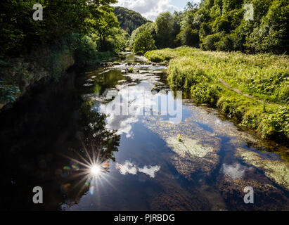 Luce solare riflessa nel fiume Wye a Chee Dale nel Derbyshire Peak District UK in alta stagione Foto Stock