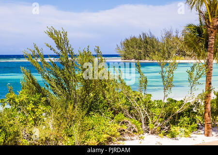 Spiaggia tropicale in Falmouth Giamaica. Palme e spiagge di sabbia bianca. Le acque blu cristallo del mare. Foto Stock