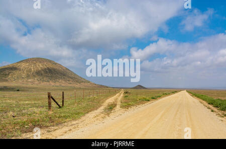 California, Carrizo Plain monumento nazionale, Soda Lake Road Foto Stock