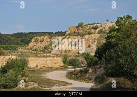 Paesaggio boscoso nel Giura Svevo, ex cava con rocce calcaree e foresta Foto Stock