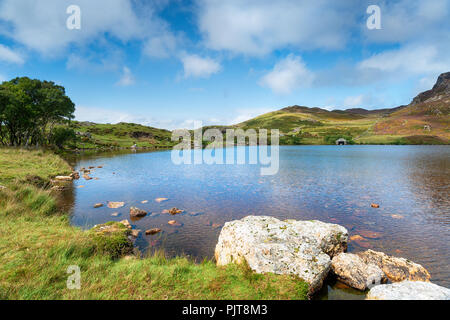 Estate a Cregennan laghi nel Parco Nazionale di Snowdonia nel Galles Foto Stock