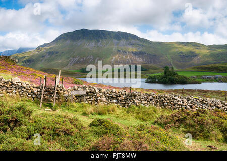 Estate a Cadair Idris vicino a Dolgellau nel Parco Nazionale di Snowdonia nel Galles Foto Stock