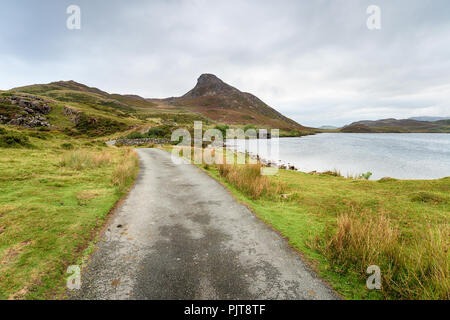 Stretti vicoli del paese a Cregennan laghi sulle pendici di Cadair Idris vicino Arthog nel Parco Nazionale di Snowdonia nel Galles Foto Stock