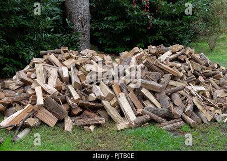 Catasta di legna da ardere sull'erba Foto Stock