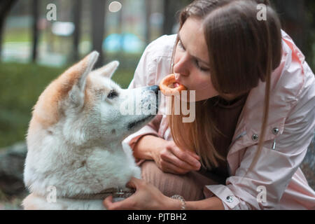 Giovane donna con il suo cane giapponese Akita inu mangiando un bagel, en Foto Stock