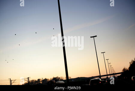 E40 motoray al tramonto (Belgio, 15/11/2011) Foto Stock