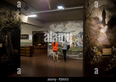 Tessaglia, Grecia. 8 settembre 2018. Foto scattata il 7 settembre 8, 2018, mostra ai visitatori in ingresso del Museo dei funghi durante la quarta Sagra del fungo, in Kalabaka, Tessaglia, Grecia. Credito: Xinhua/Alamy Live News Foto Stock