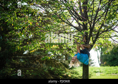 Ragazzo appeso a testa in giù su albero Foto Stock