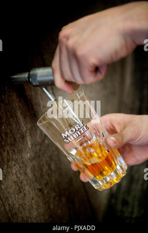 Impressioni di La Mort Subite lambic birreria in base Kobbegem, parte del gruppo di Alken-Maes (Belgio, 21/05/2014) Foto Stock