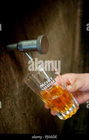 Impressioni di La Mort Subite lambic birreria in base Kobbegem, parte del gruppo di Alken-Maes (Belgio, 21/05/2014) Foto Stock