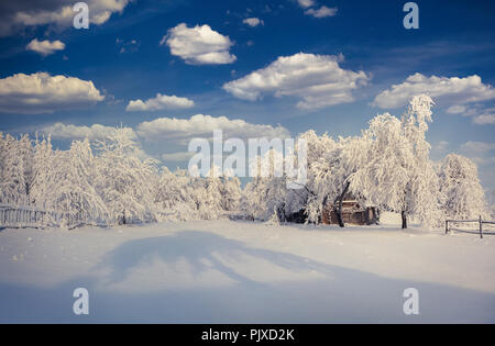 Inverno da favola, nevicate coperti gli alberi e le case nel villaggio di montagna. Villaggio Strymba, Carpazi, Ucraina, l'Europa. Foto Stock