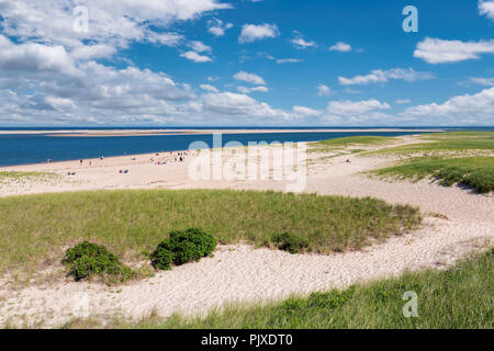 Spiaggia di Cape Cod Foto Stock