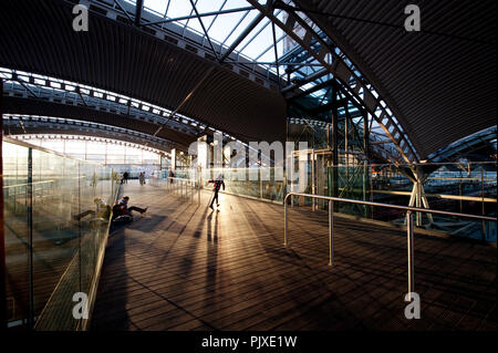 Il Leuven stazione ferroviaria, progettato da Philippe Samyn & Partners (Belgio, 14/11/2011) Foto Stock