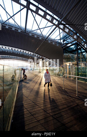 Il Leuven stazione ferroviaria, progettato da Philippe Samyn & Partners (Belgio, 14/11/2011) Foto Stock