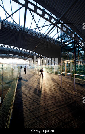 Il Leuven stazione ferroviaria, progettato da Philippe Samyn & Partners (Belgio, 14/11/2011) Foto Stock